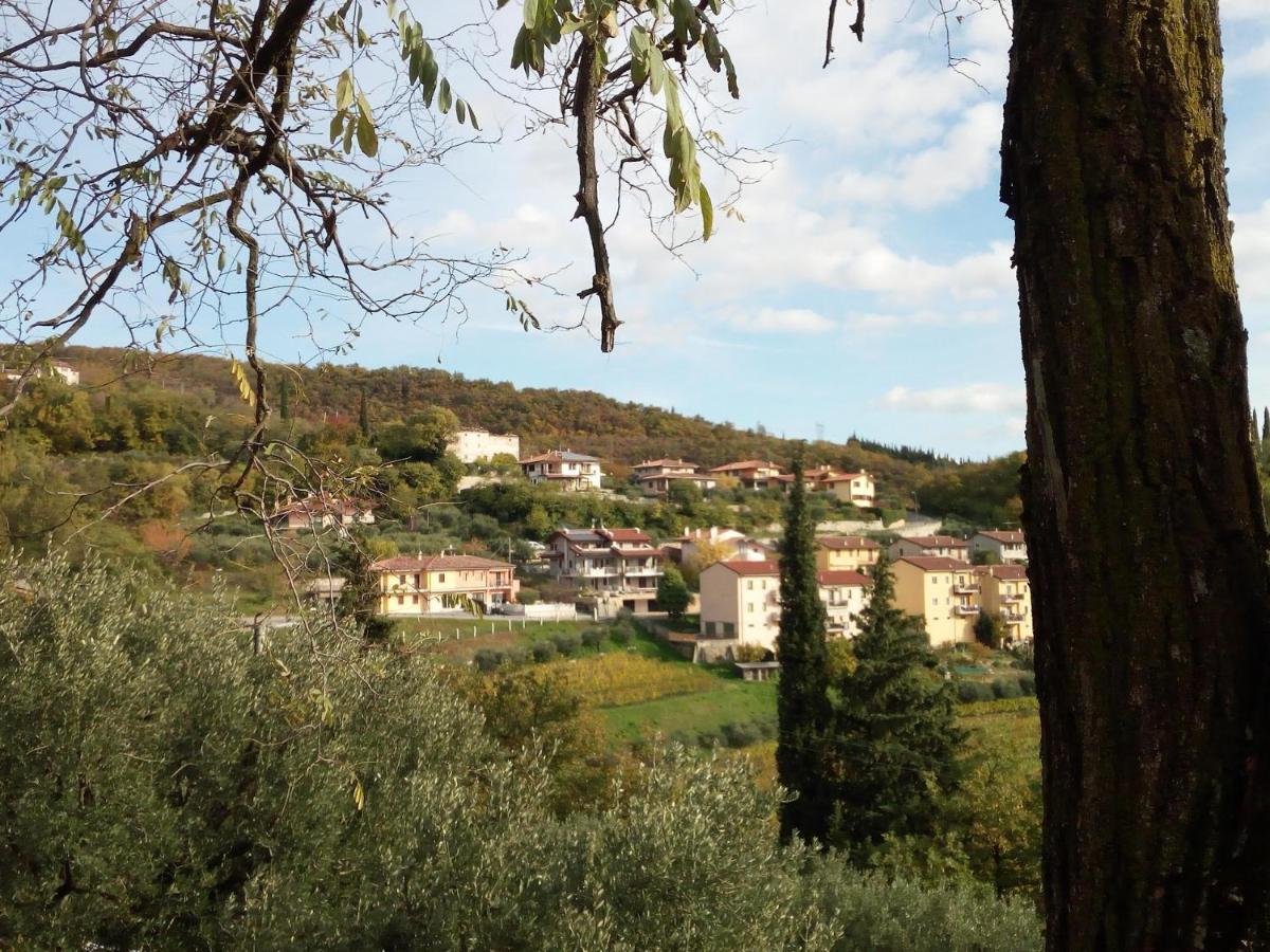 Panoramico10 Apartment With A View In Valpolicella SantʼAmbrogio di Valpolicella 外观 照片
